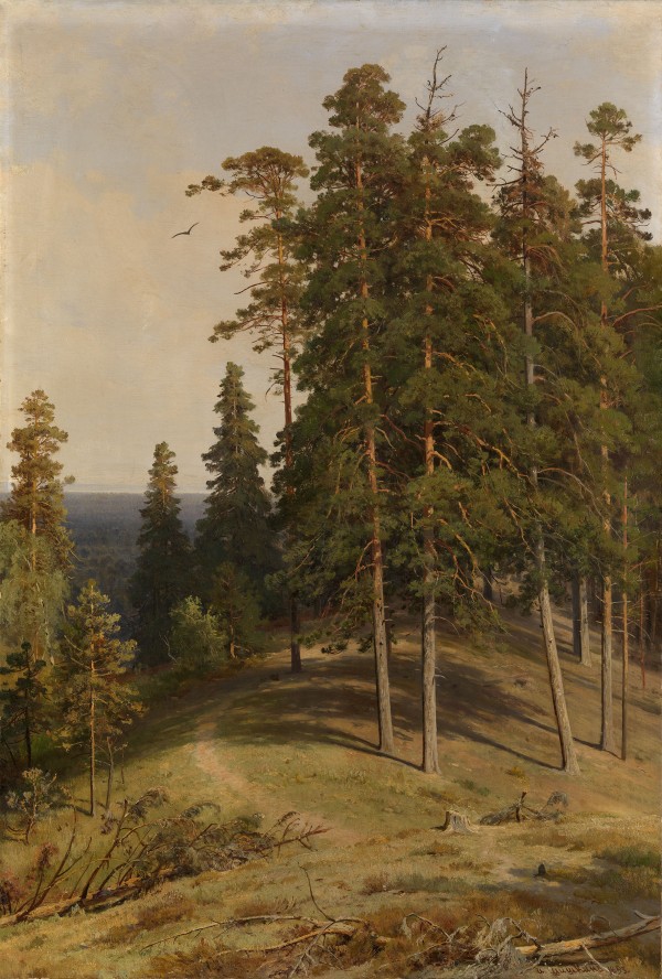 The Pine Forest by Ivan Shishkin